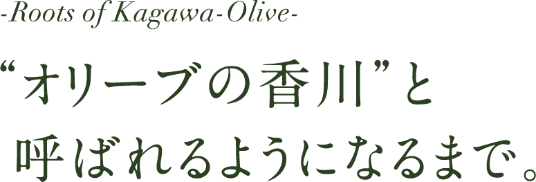 -Roots of Kagawa-Olive- “オリーブの香川”と呼ばれるようになるまで。